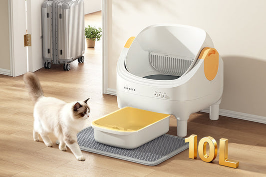 Self-Cleaning Litter Box vs Traditional: Which Is Right for Your Cat?