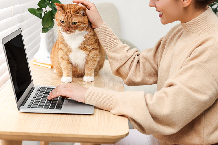 How to Choose a Self-Cleaning Litter Box: The Ultimate 2025 Guide